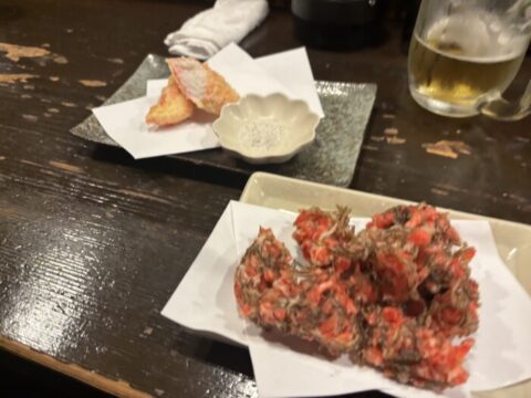 今日もお疲れ様でした