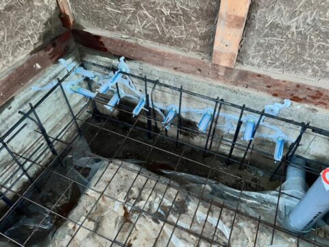 ちゅーにゅーー